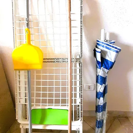 - Kaktus * Badesi