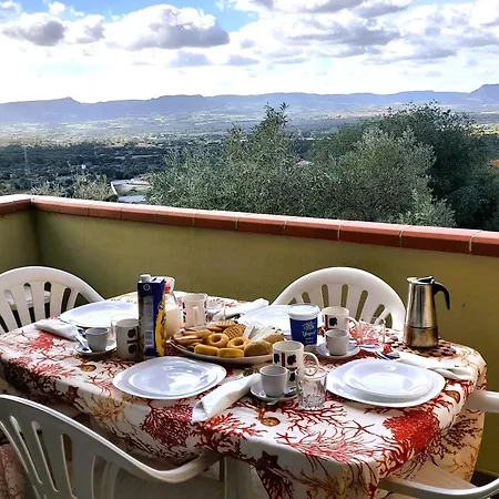 - Kaktus *